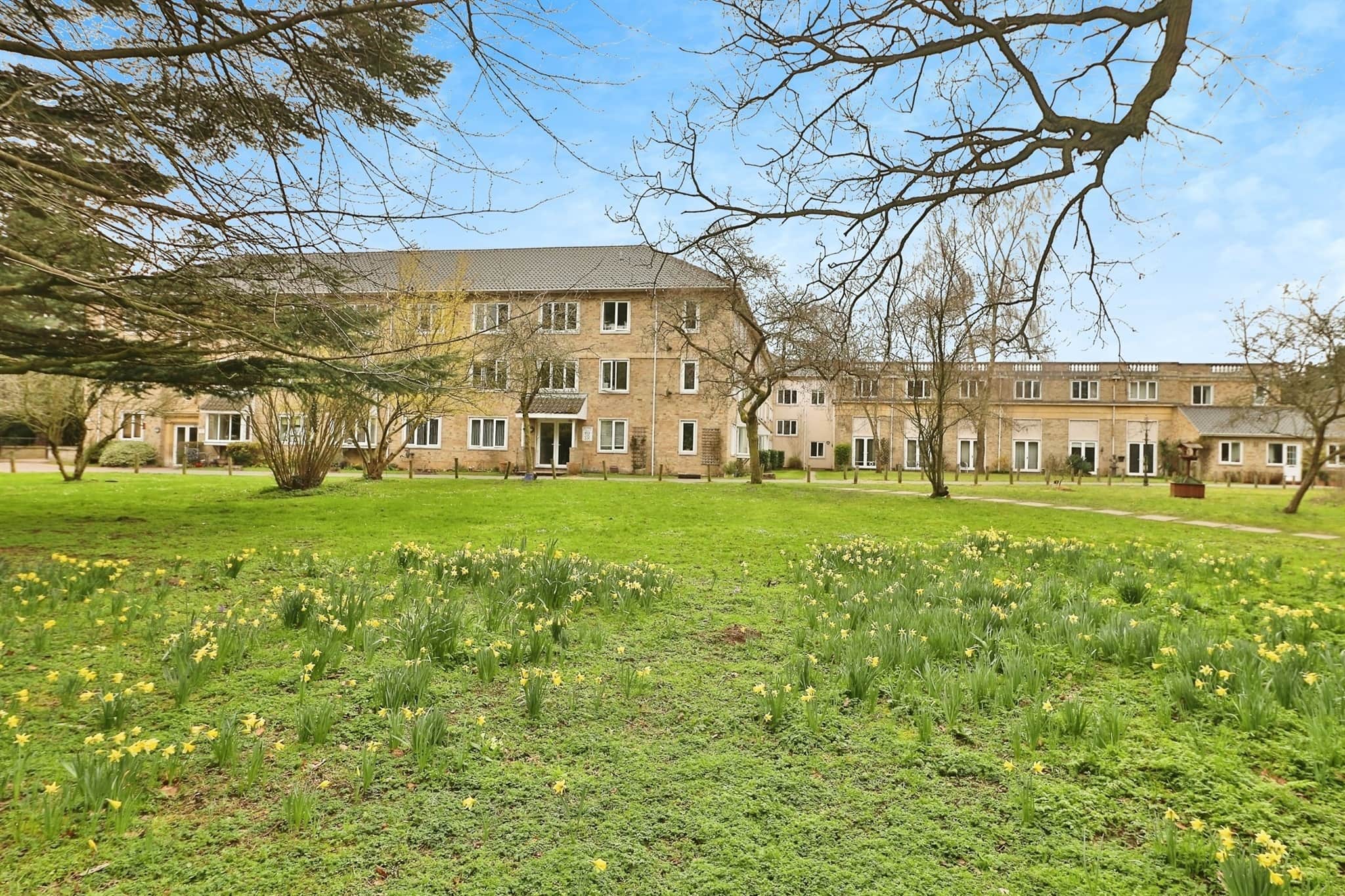Property photo 11