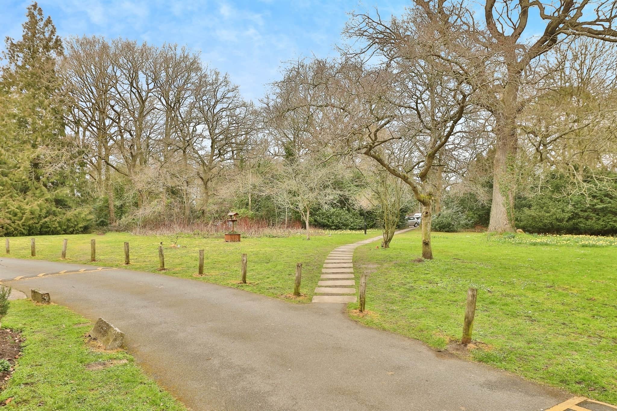 Property photo 12