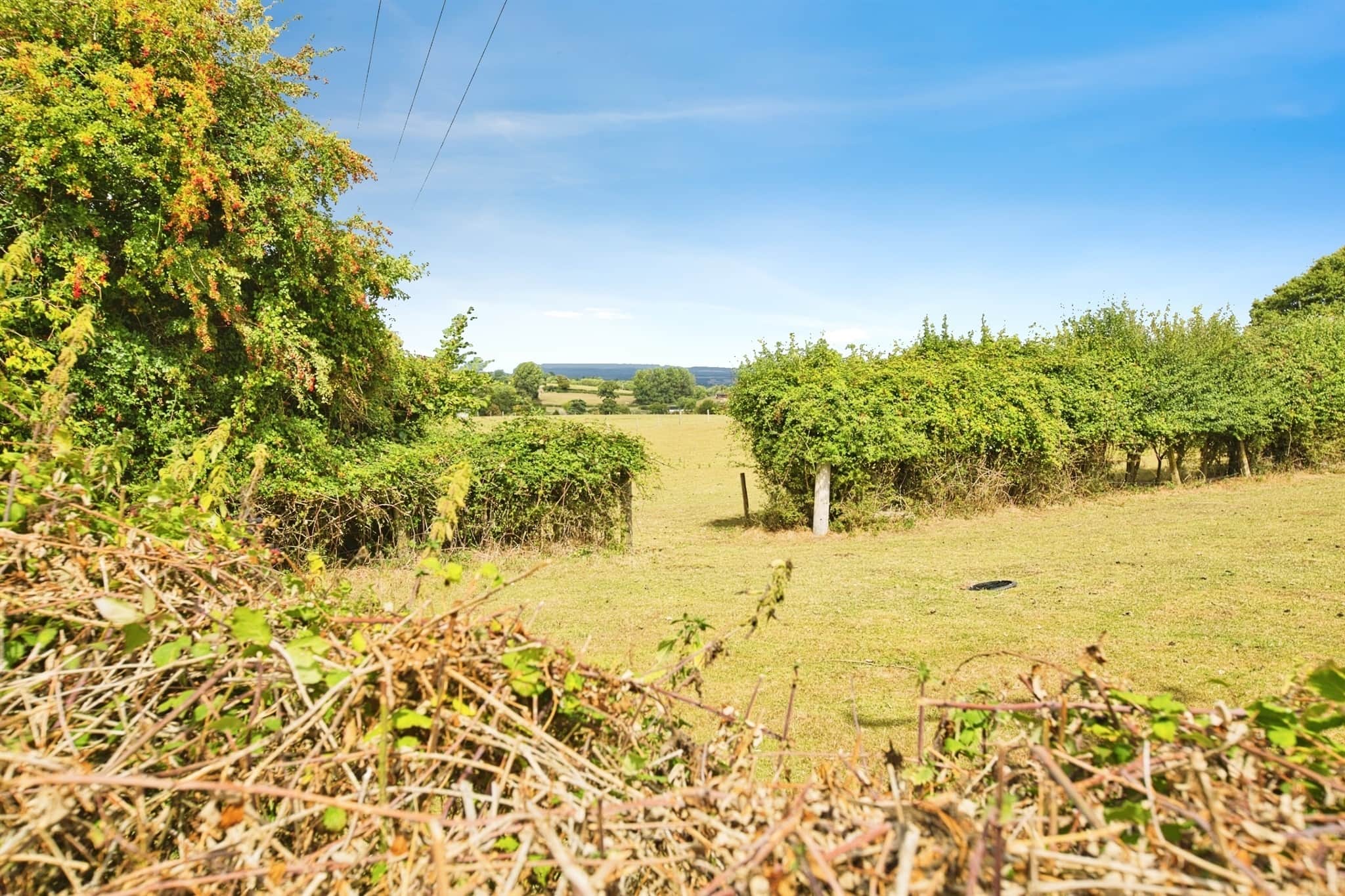 Property photo 15