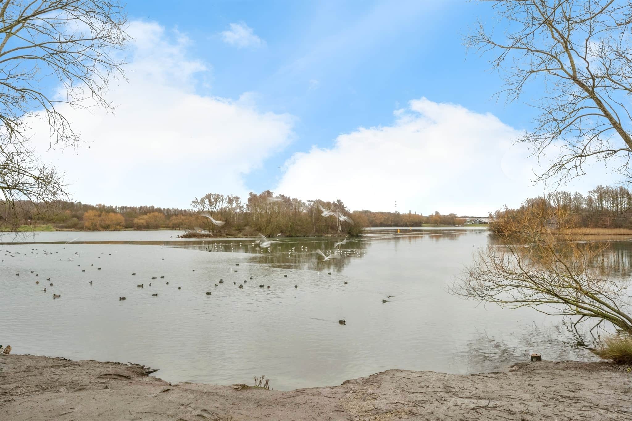 Property photo 20