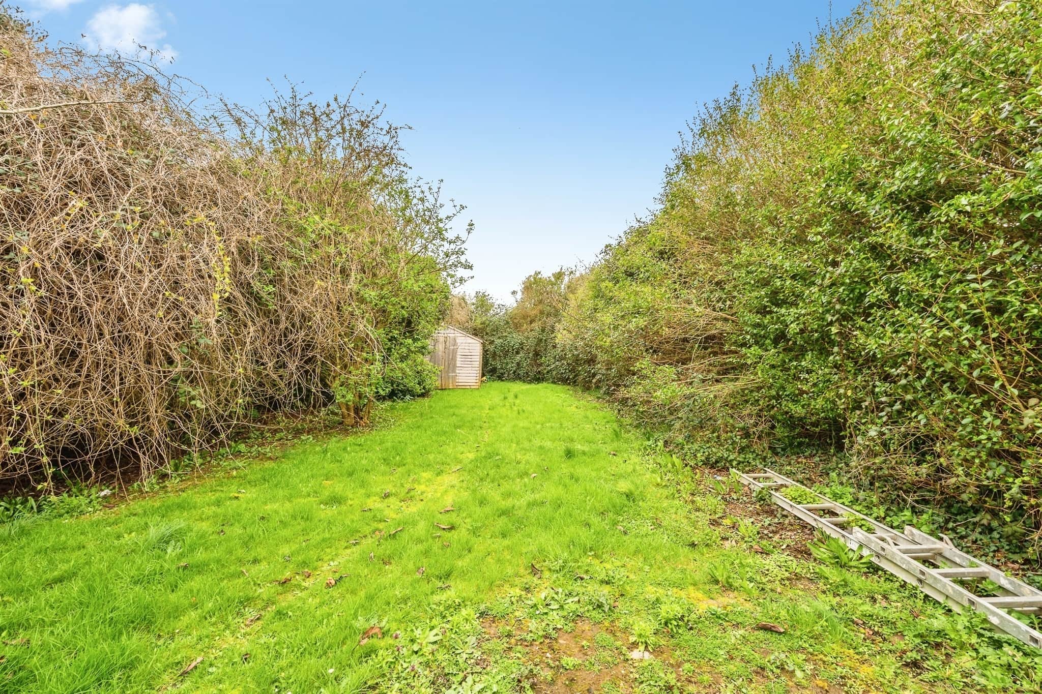 Property photo 18