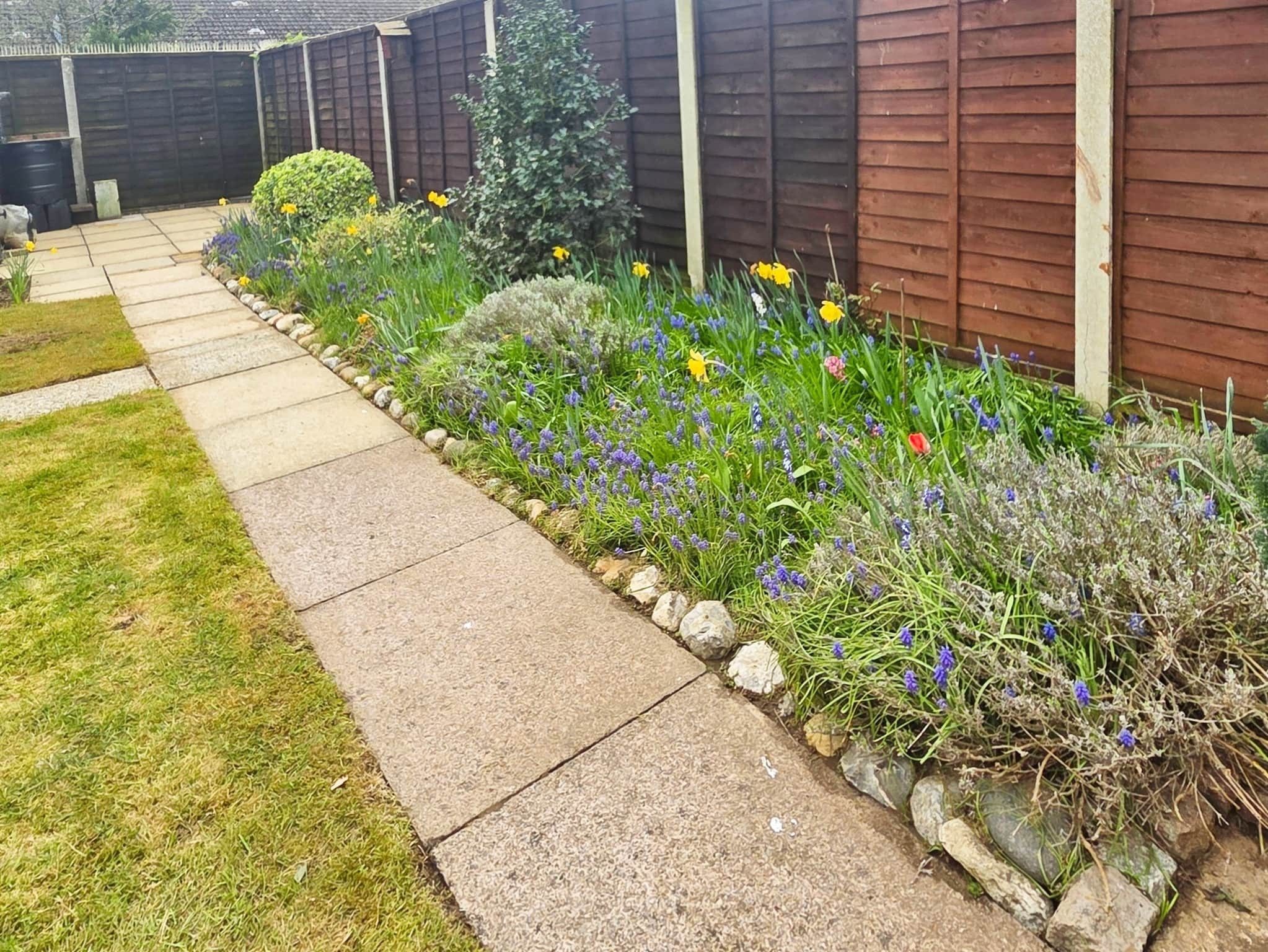 Property photo 25