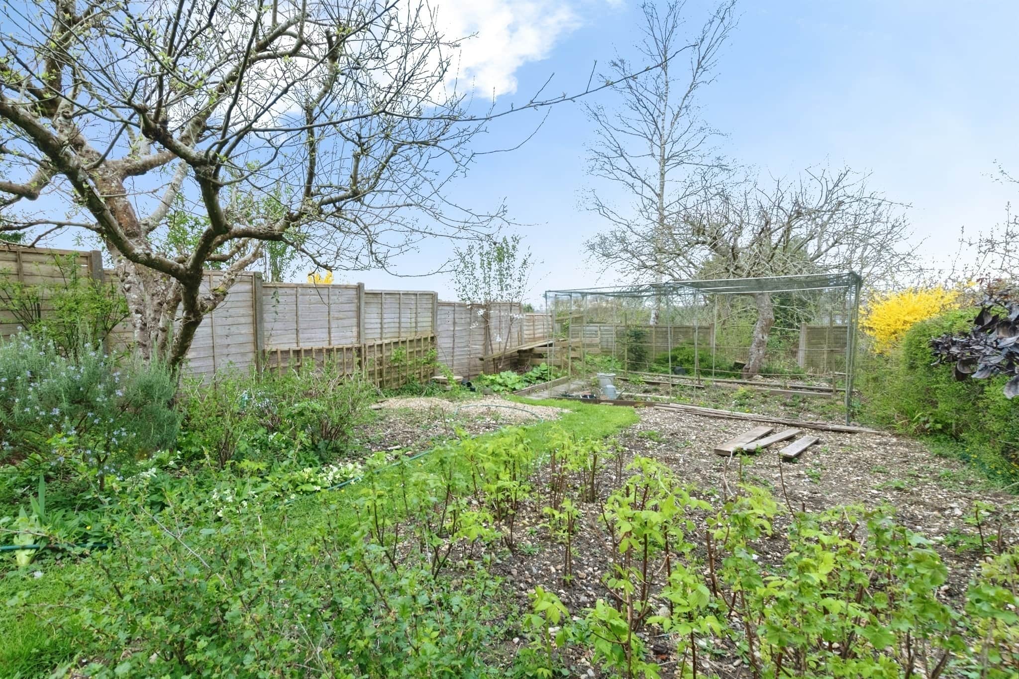 Property photo 24
