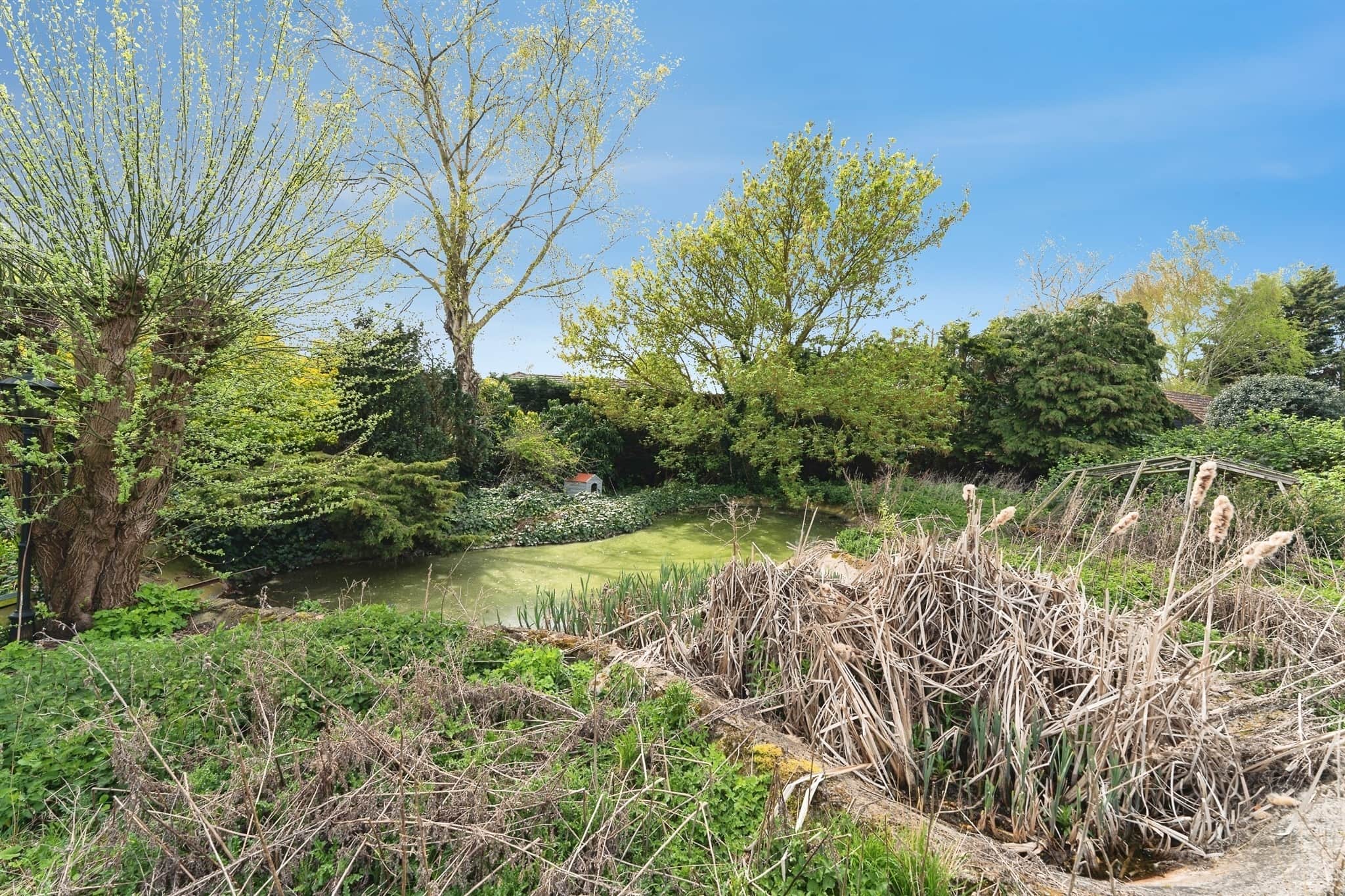 Property photo 26