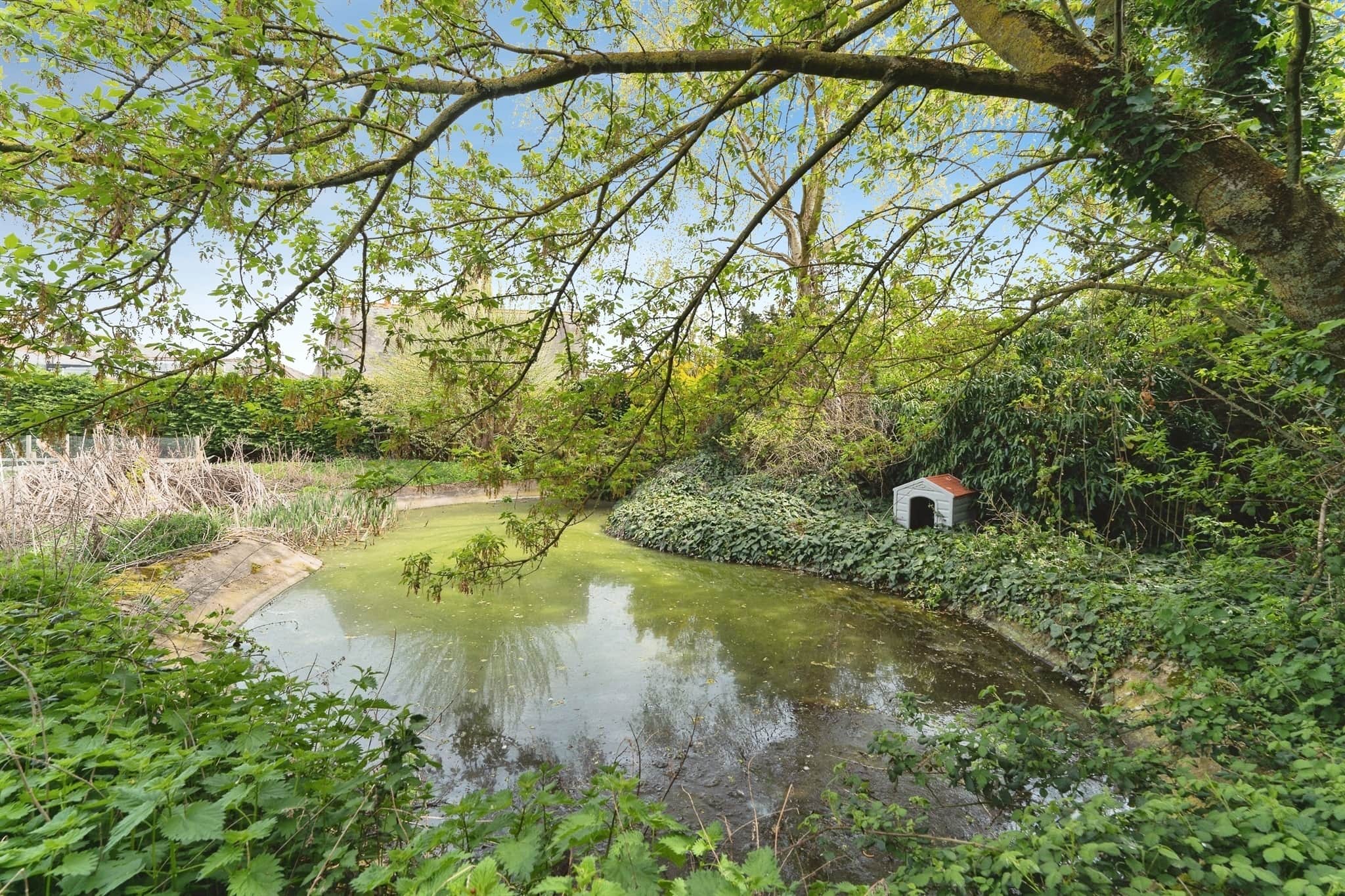 Property photo 27