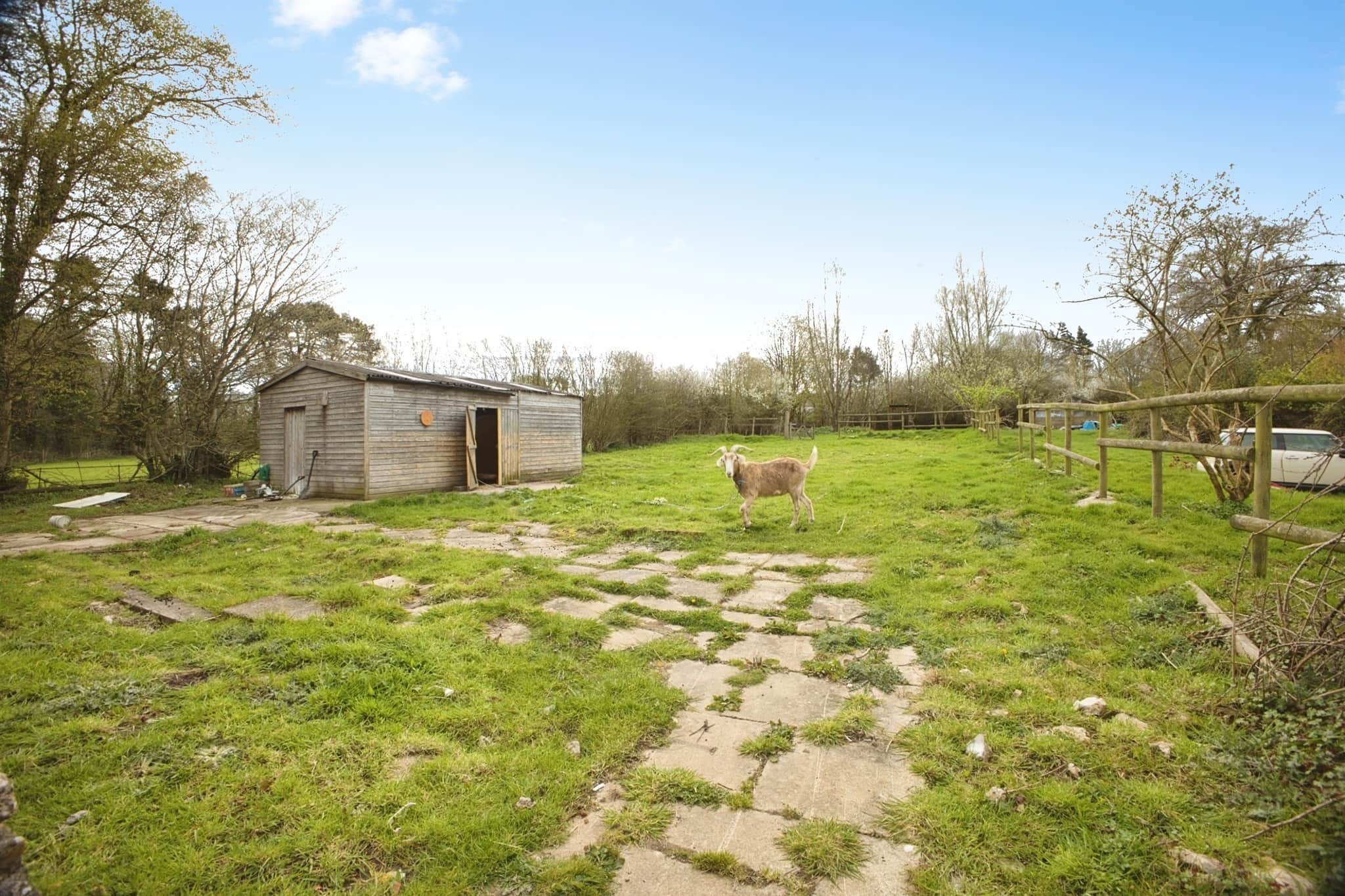 Property photo 4