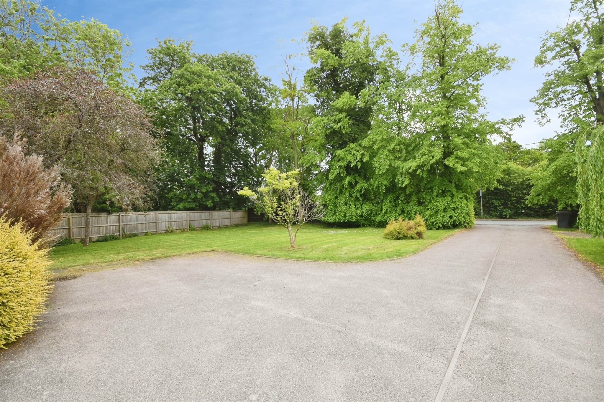Property photo 19