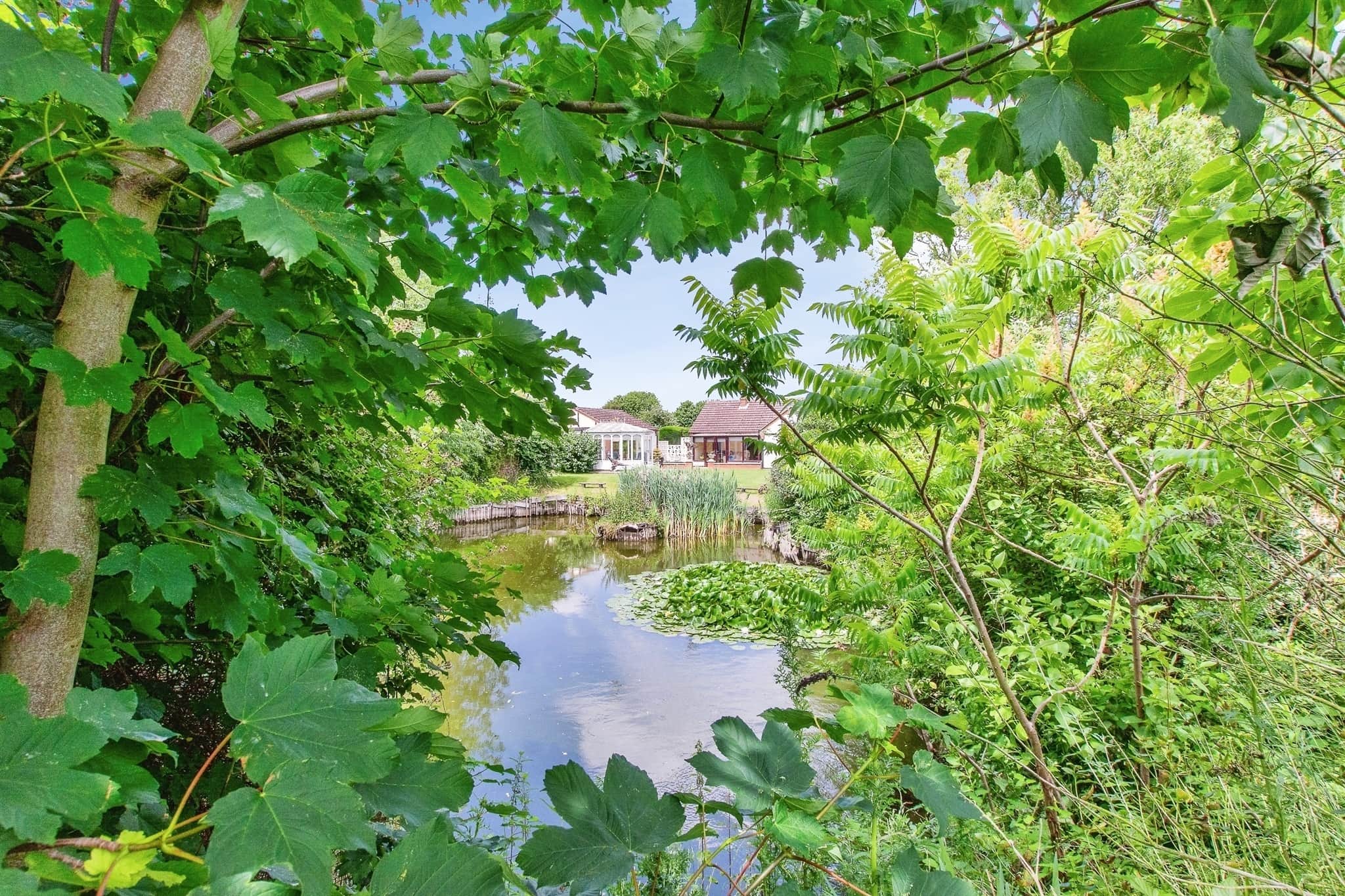 Property photo 23
