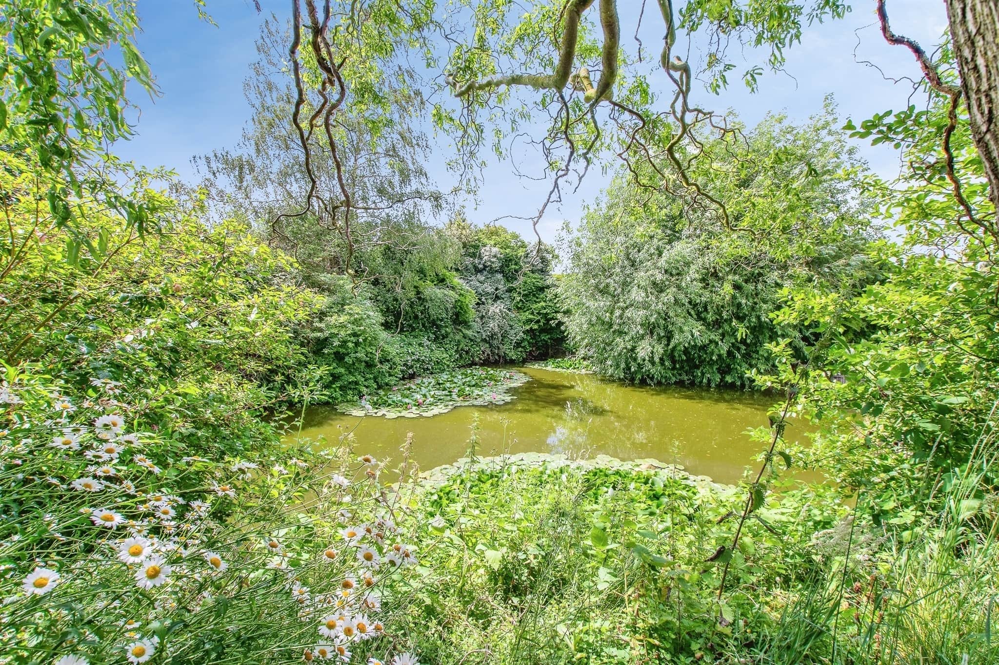 Property photo 24