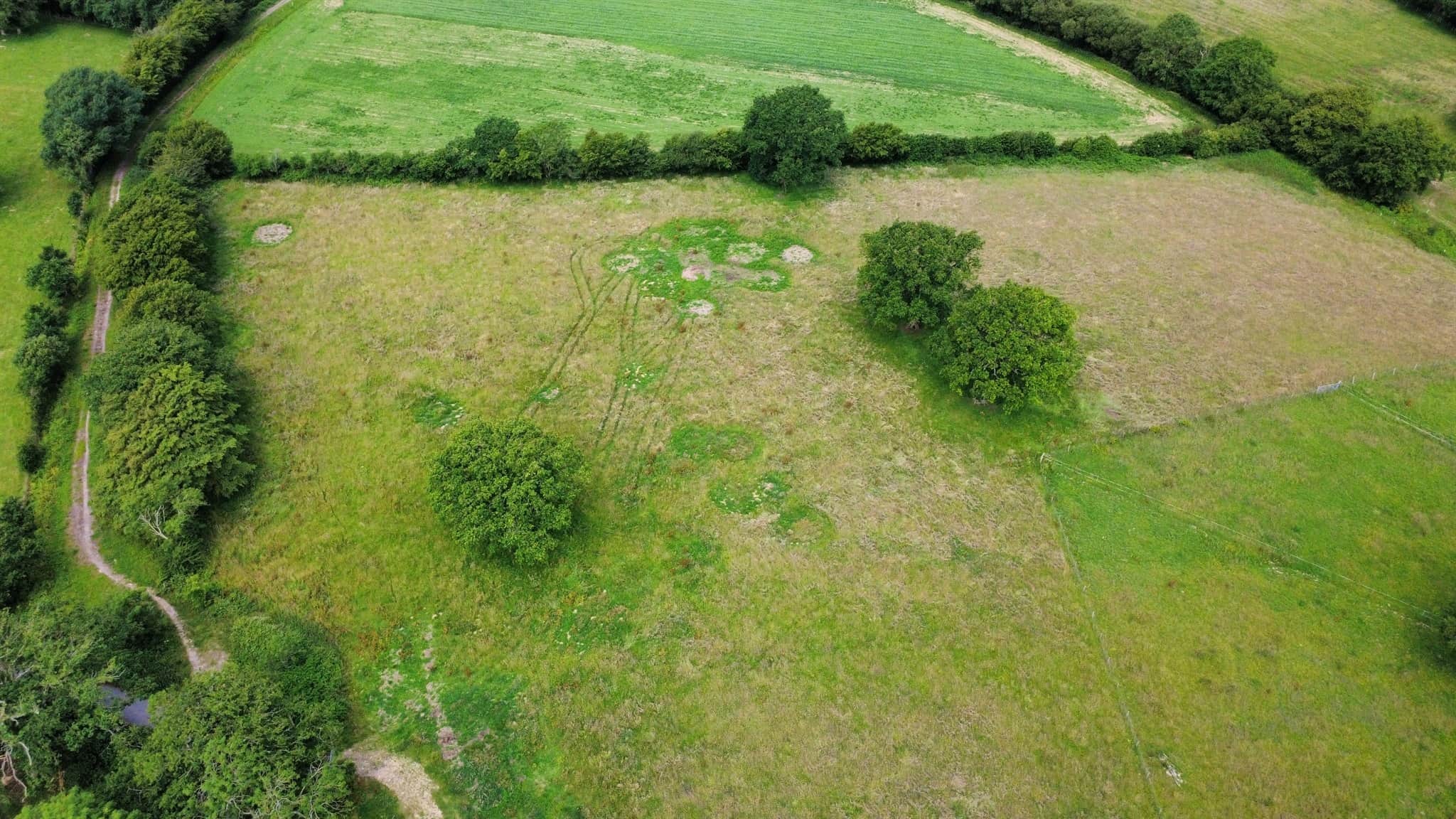 Property photo 19