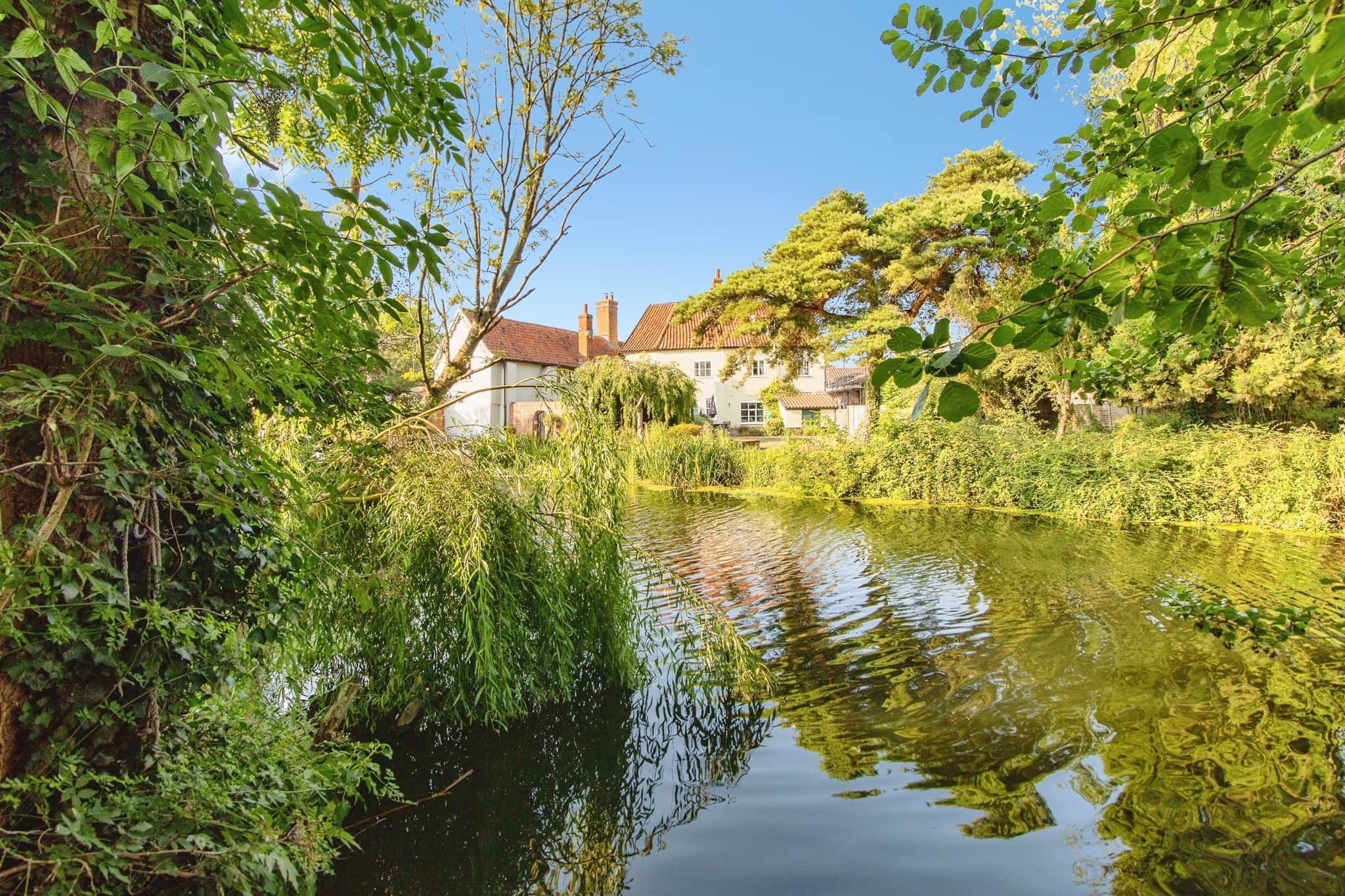 Property photo 18