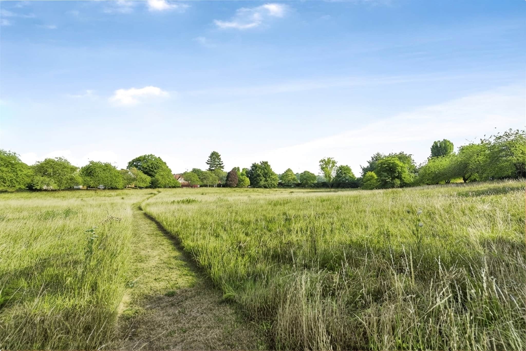 Property photo 28