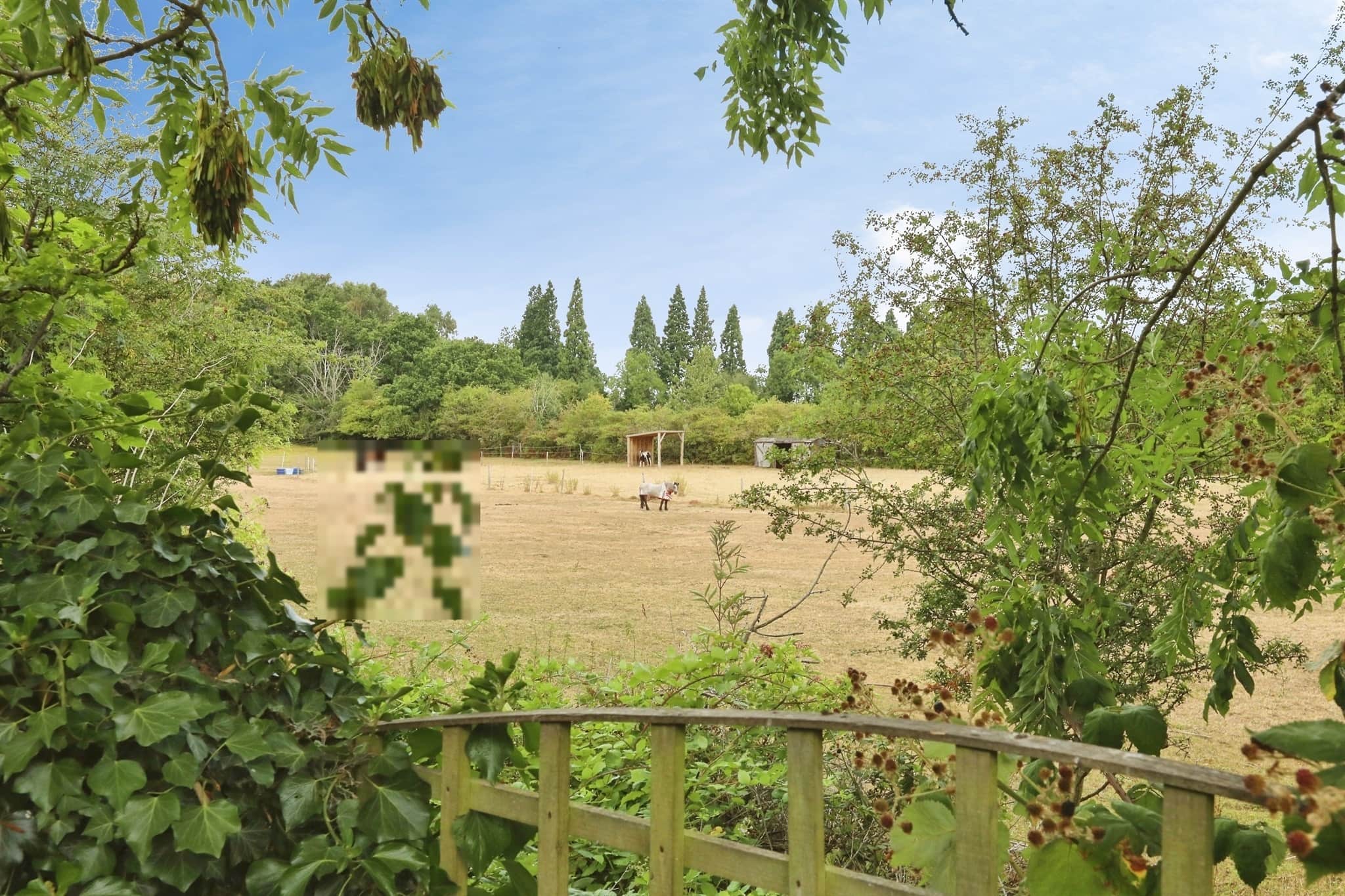 Property photo 19