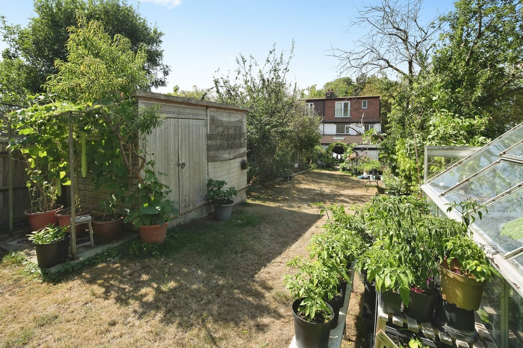 Property photo 12