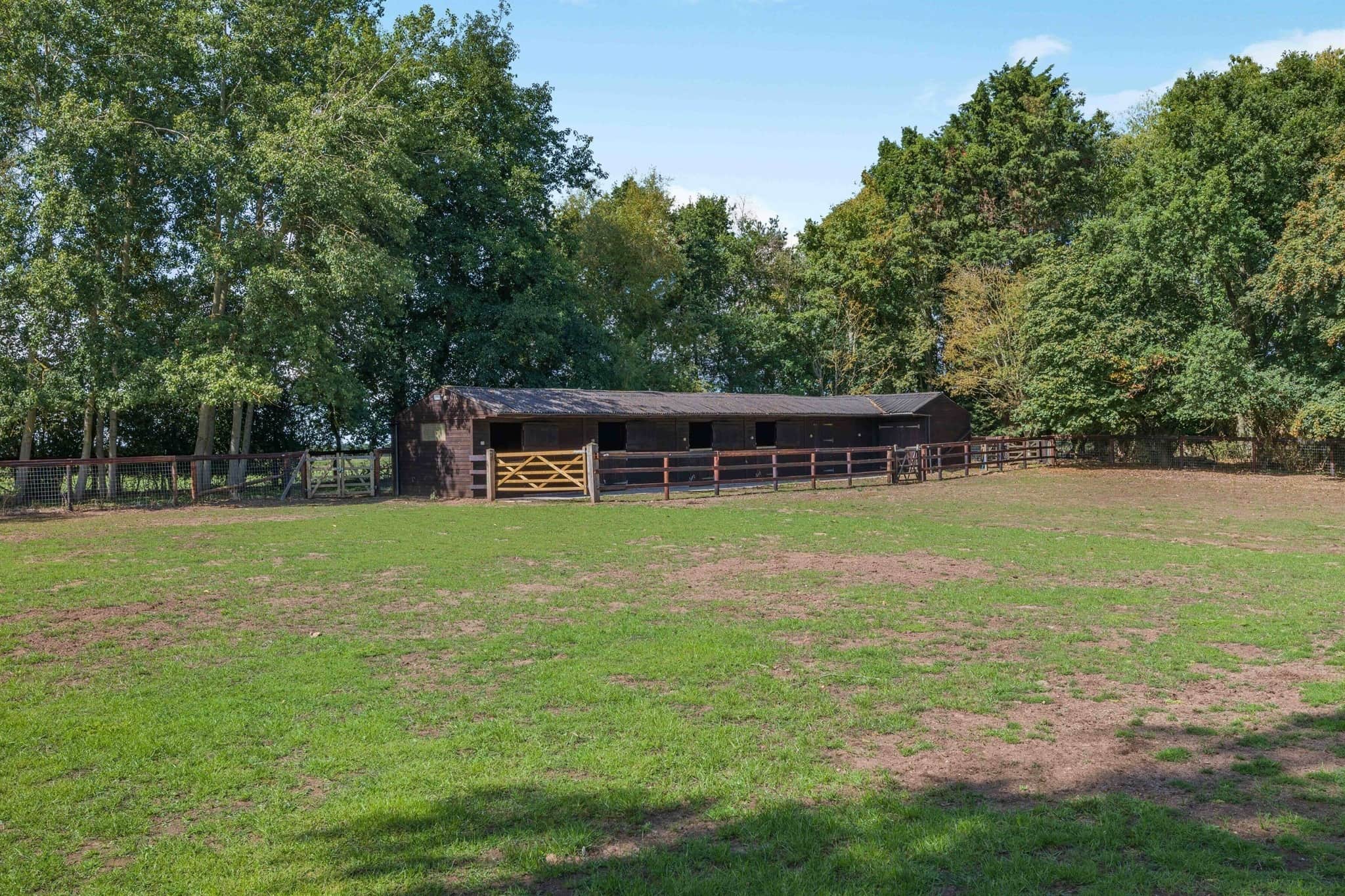 Property photo 19