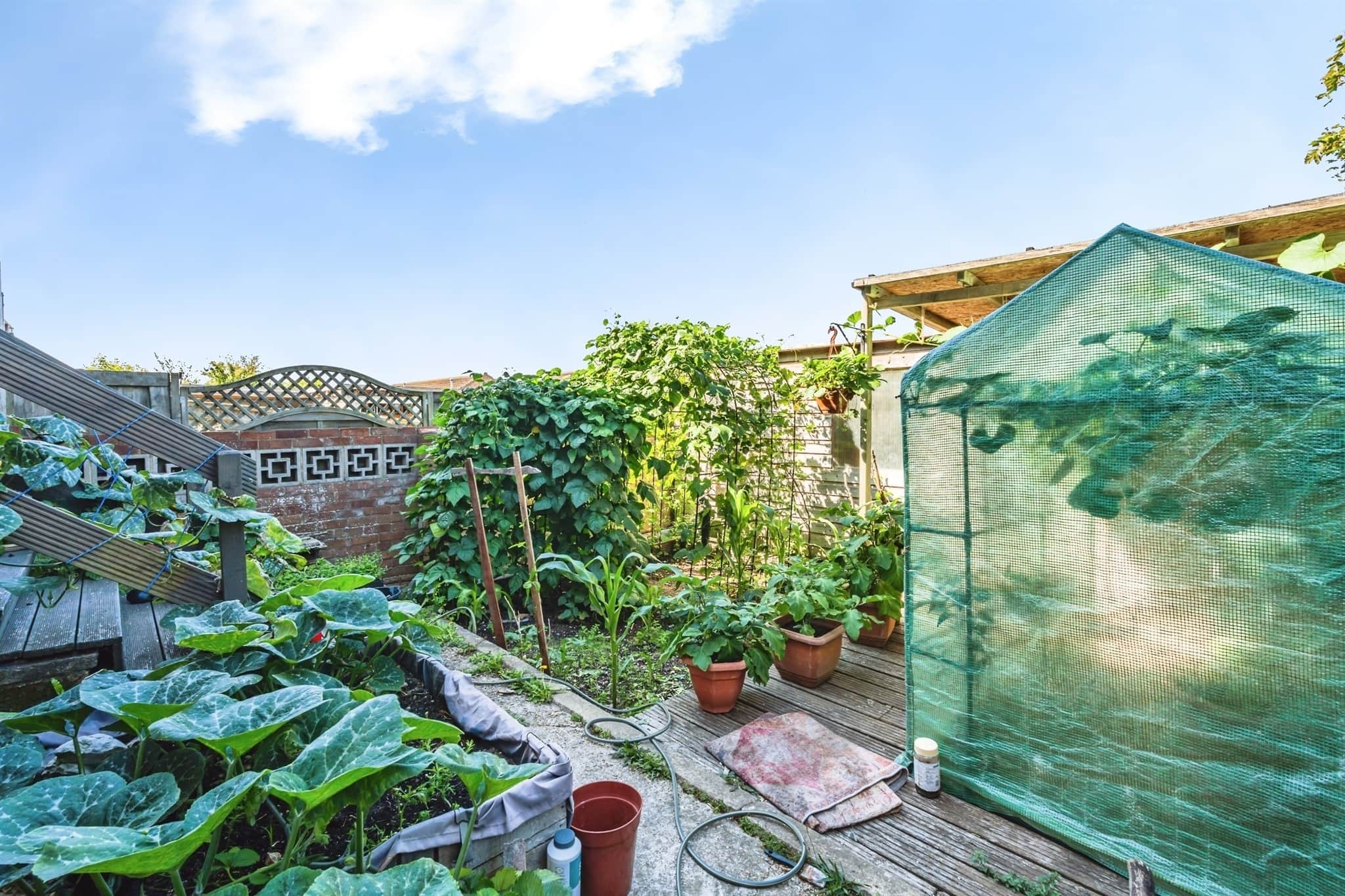 Property photo 14
