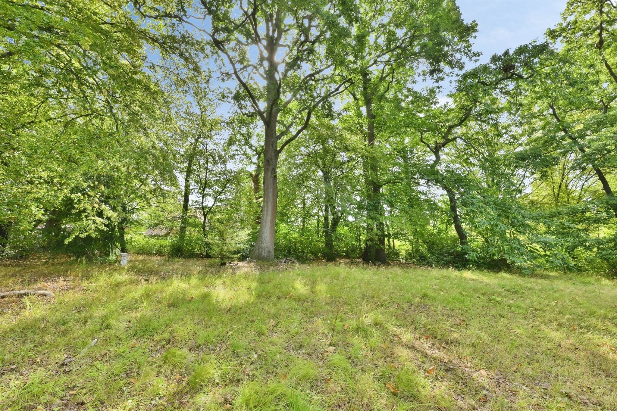 Property photo 29