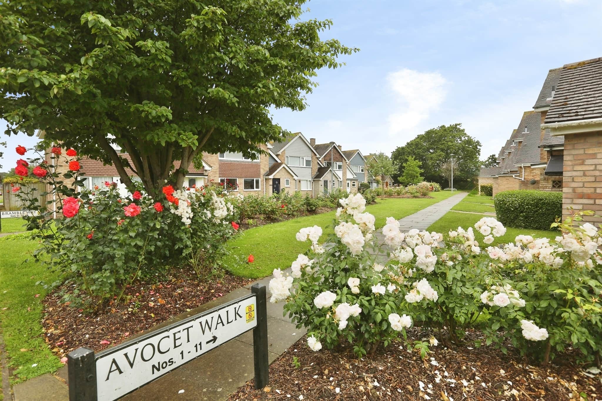 Property photo 20