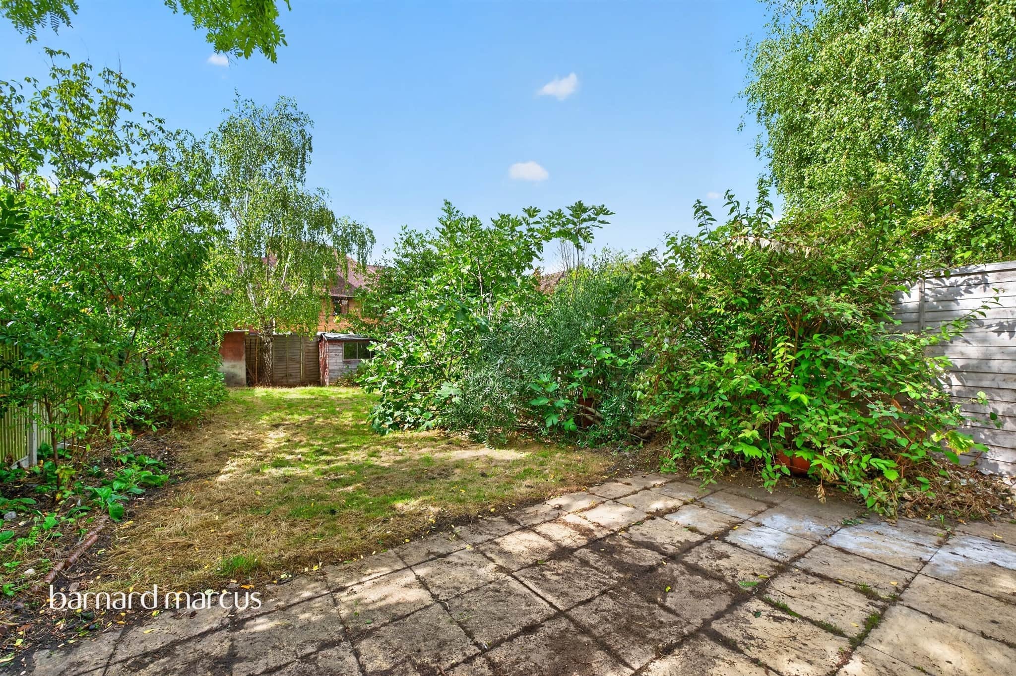 Property photo 7
