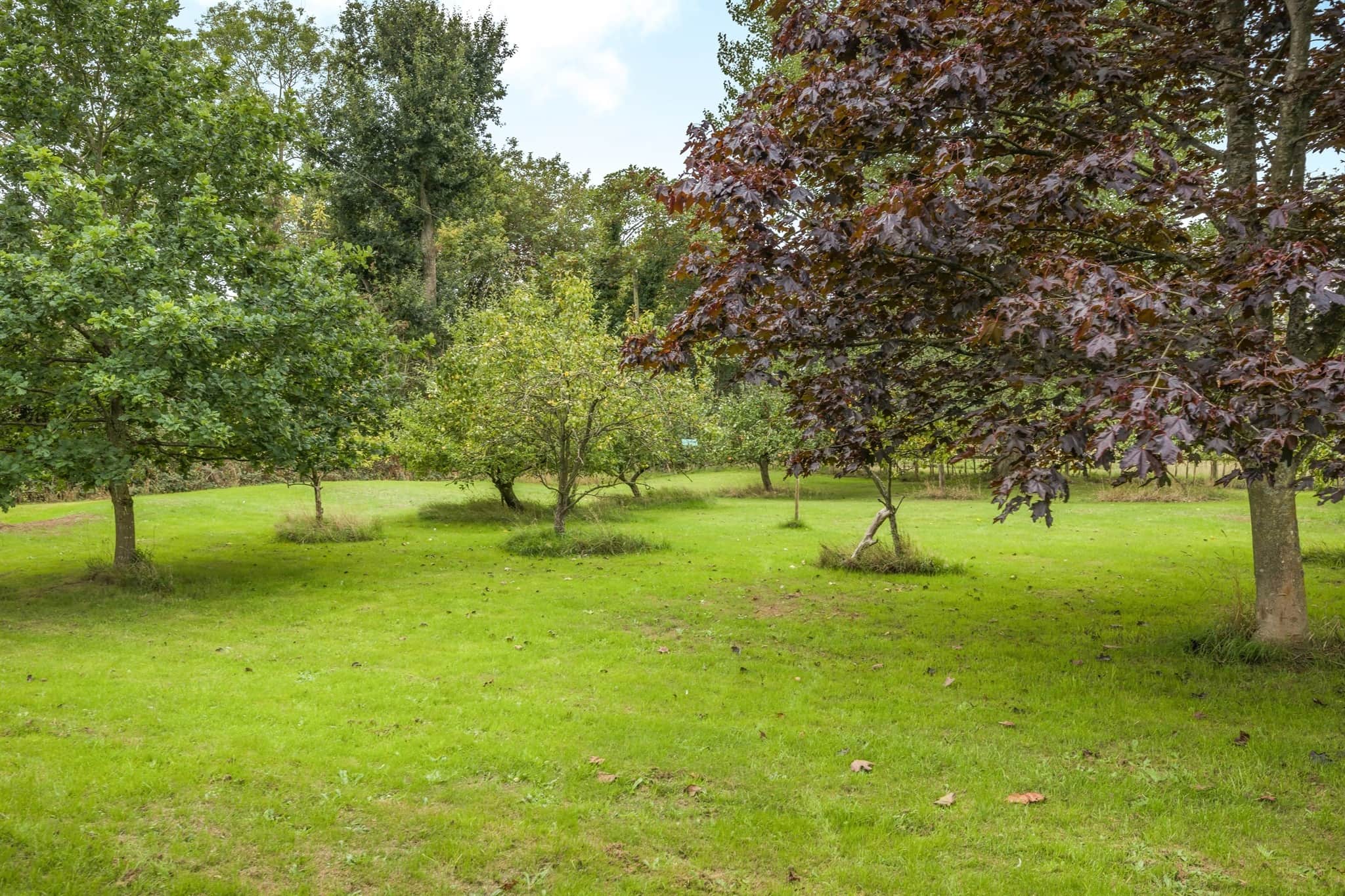 Property photo 15