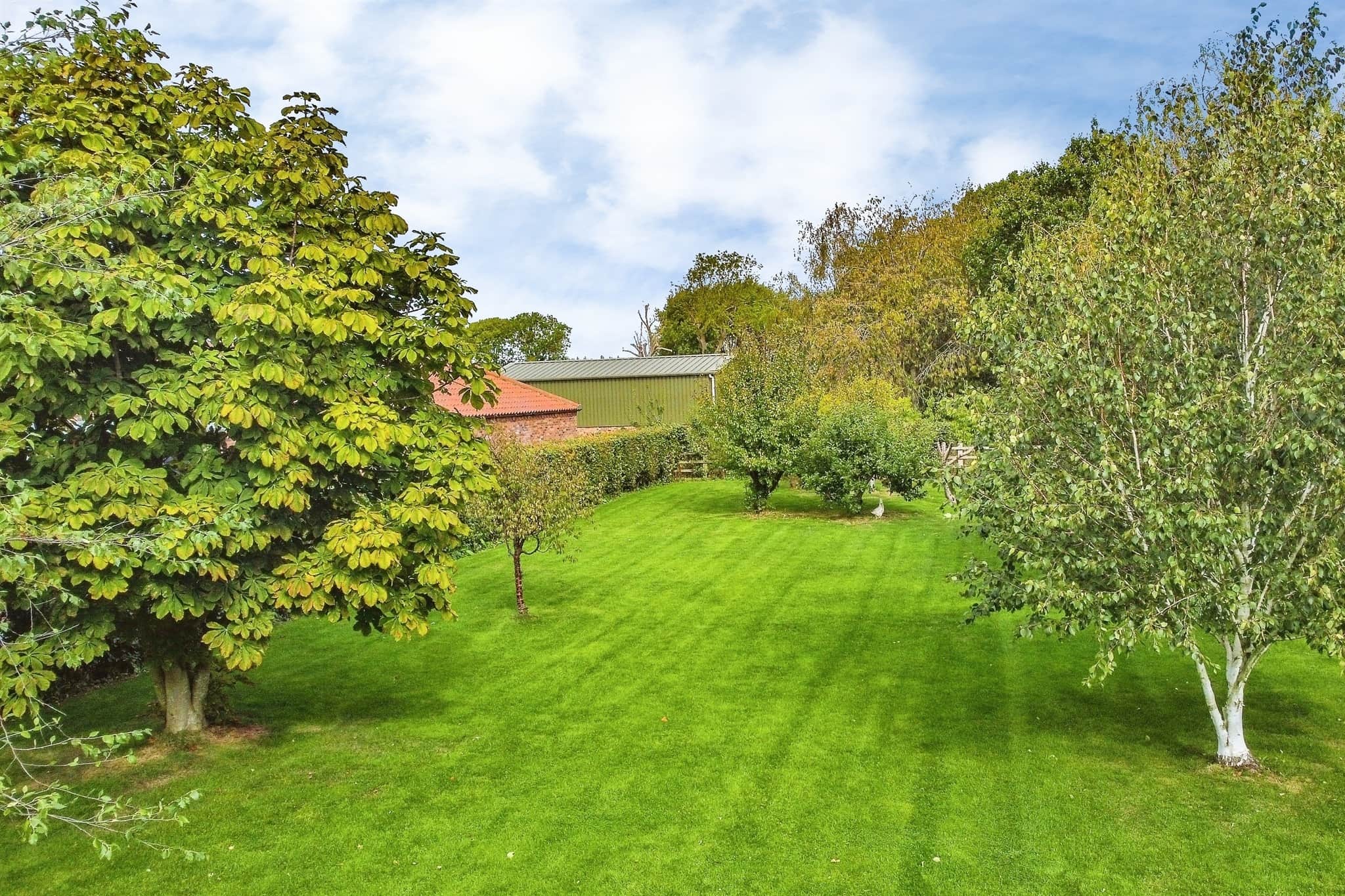 Property photo 25