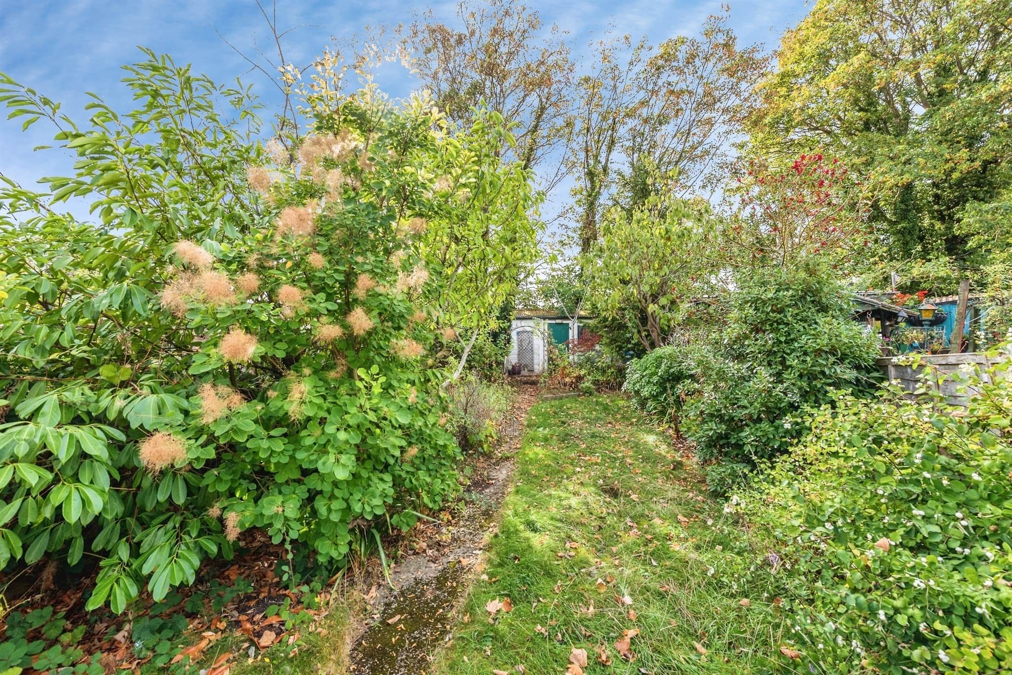 Property photo 13